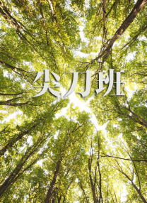 国产成人综合久久综合